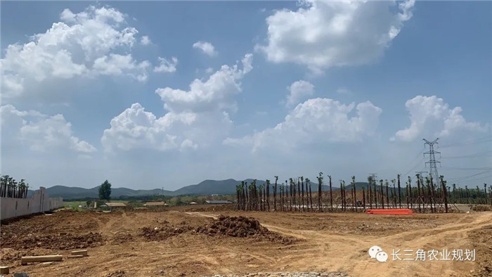 為了幫助園區(qū)的提檔升級,南京市農(nóng)業(yè)農(nóng)村局特委托中農(nóng)富通編制《南京市農(nóng)業(yè)園區(qū)發(fā)展研究報(bào)告》,以期從產(chǎn)業(yè)發(fā)展路徑、園區(qū)發(fā)展模式、保障措施等多維度為南京市農(nóng)業(yè)園區(qū)未來三年的發(fā)展做統(tǒng)籌謀劃。 8月19日,中農(nóng)(圖11) 為了幫助園區(qū)的提檔升級,南京市農(nóng)業(yè)農(nóng)村局特委托中農(nóng)富通編制《南京市農(nóng)業(yè)園區(qū)發(fā)展研究報(bào)告》,以期從產(chǎn)業(yè)發(fā)展路徑、園區(qū)發(fā)展模式、保障措施等多維度為南京市農(nóng)業(yè)園區(qū)未來三年的發(fā)展做統(tǒng)籌謀劃。 8月19日,中農(nóng)(圖11)