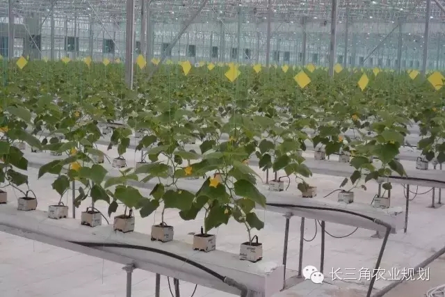 undefined 640.webp (2).jpg