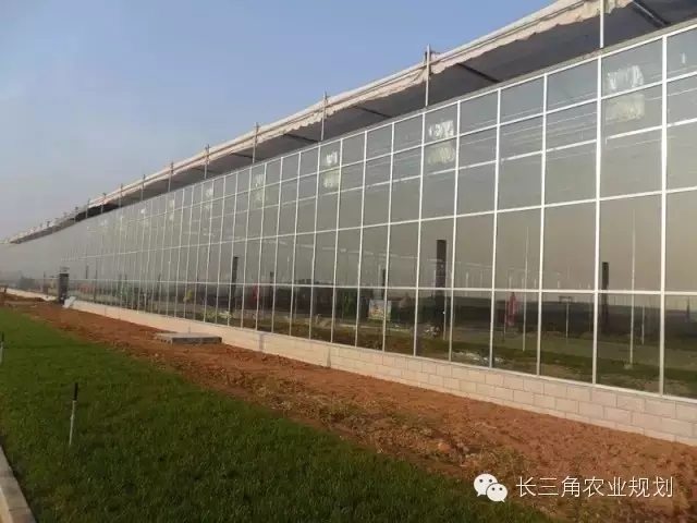 undefined 640.webp (7).jpg