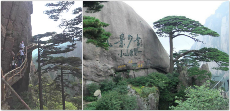 undefined 3333636.jpg