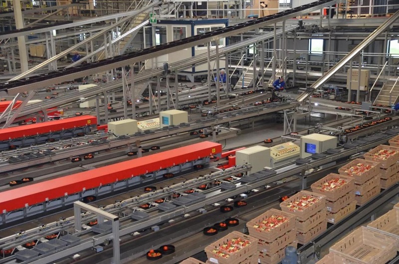 南和現代設施農業產業集群(圖1) 3.jpg