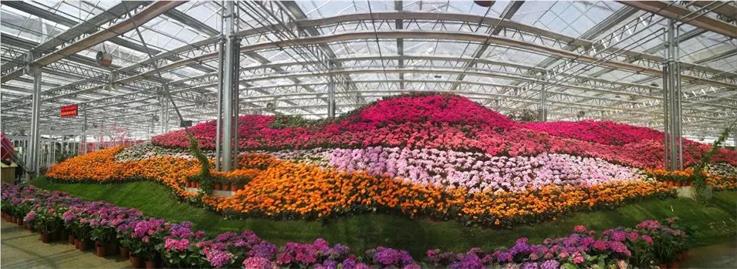 江蘇洋河農(nóng)業(yè)嘉年華(圖5) 微信圖片_20180511104401.jpg