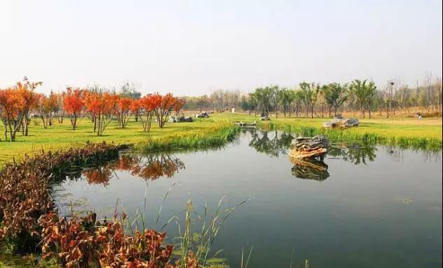 安吉縣筆架山農(nóng)業(yè)高新區(qū)規(guī)劃(圖8) 8.jpg