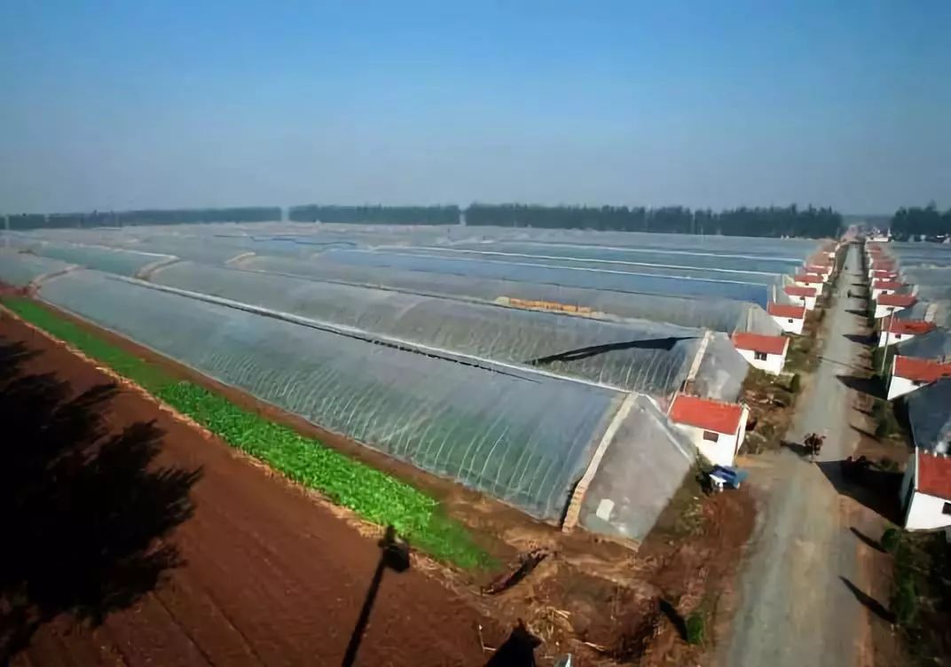 第九屆縣域會(huì)||2019鄉(xiāng)村振興優(yōu)秀案例圖文展成功舉辦(附優(yōu)秀案例)(圖14) 第九屆縣域會(huì)||2019鄉(xiāng)村振興優(yōu)秀案例圖文展成功舉辦(附優(yōu)秀案例)(圖14)