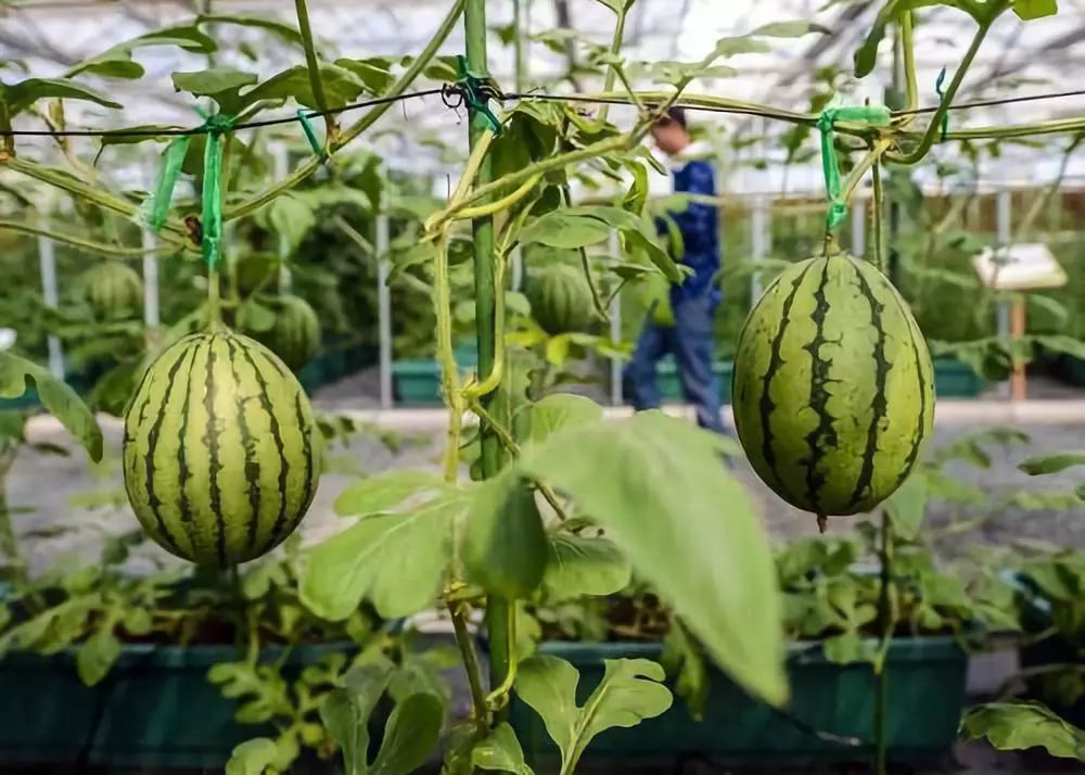 undefined 微信圖片_20200513165811.jpg