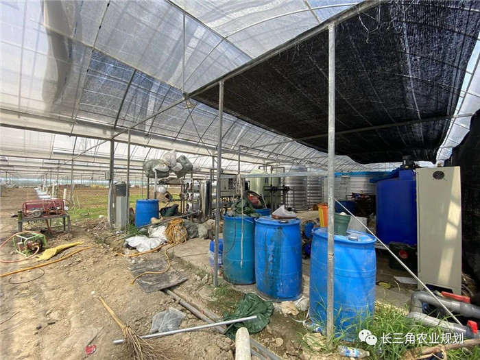 為了幫助園區(qū)的提檔升級,南京市農(nóng)業(yè)農(nóng)村局特委托中農(nóng)富通編制《南京市農(nóng)業(yè)園區(qū)發(fā)展研究報(bào)告》,以期從產(chǎn)業(yè)發(fā)展路徑、園區(qū)發(fā)展模式、保障措施等多維度為南京市農(nóng)業(yè)園區(qū)未來三年的發(fā)展做統(tǒng)籌謀劃。 8月19日,中農(nóng)(圖5) 為了幫助園區(qū)的提檔升級,南京市農(nóng)業(yè)農(nóng)村局特委托中農(nóng)富通編制《南京市農(nóng)業(yè)園區(qū)發(fā)展研究報(bào)告》,以期從產(chǎn)業(yè)發(fā)展路徑、園區(qū)發(fā)展模式、保障措施等多維度為南京市農(nóng)業(yè)園區(qū)未來三年的發(fā)展做統(tǒng)籌謀劃。 8月19日,中農(nóng)(圖5)