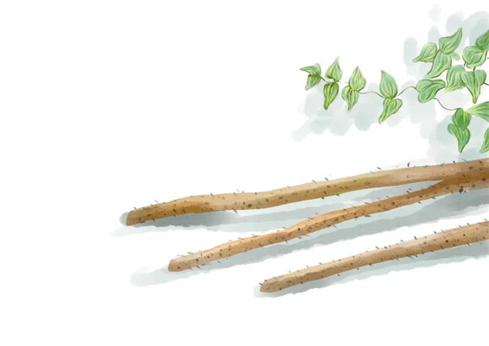 《蔬之集萃》(圖5) 《蔬之集萃》(圖5)