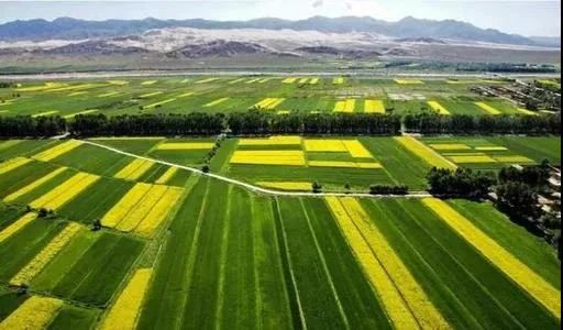 最高獎補8000萬!建設一批鄉村振興集成創新示范縣(圖6) 最高獎補8000萬!建設一批鄉村振興集成創新示范縣(圖6)