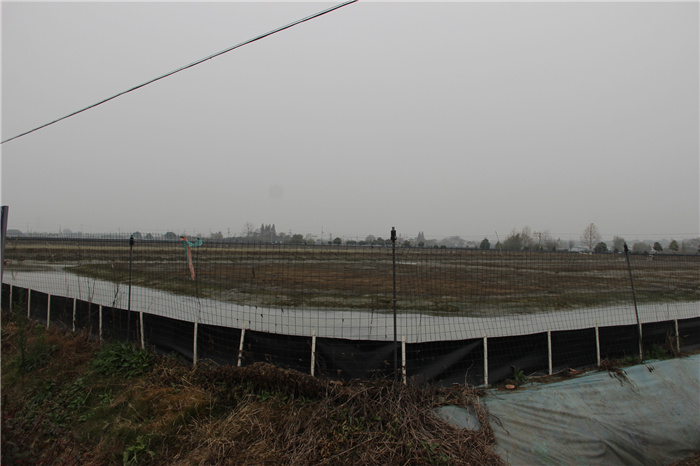 《灣沚區(qū)花橋鎮(zhèn)十四五現(xiàn)代農業(yè)發(fā)展規(guī)劃》初期調研工作順利完成!(圖4) 《灣沚區(qū)花橋鎮(zhèn)十四五現(xiàn)代農業(yè)發(fā)展規(guī)劃》初期調研工作順利完成!(圖4)