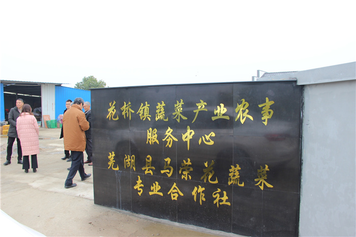 《灣沚區(qū)花橋鎮(zhèn)十四五現(xiàn)代農業(yè)發(fā)展規(guī)劃》初期調研工作順利完成!(圖6) 《灣沚區(qū)花橋鎮(zhèn)十四五現(xiàn)代農業(yè)發(fā)展規(guī)劃》初期調研工作順利完成!(圖6)