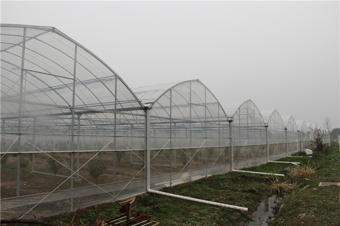 《灣沚區(qū)花橋鎮(zhèn)十四五現(xiàn)代農業(yè)發(fā)展規(guī)劃》初期調研工作順利完成!(圖13) 《灣沚區(qū)花橋鎮(zhèn)十四五現(xiàn)代農業(yè)發(fā)展規(guī)劃》初期調研工作順利完成!(圖13)