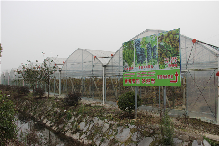 《灣沚區(qū)花橋鎮(zhèn)十四五現(xiàn)代農業(yè)發(fā)展規(guī)劃》初期調研工作順利完成!(圖14) 《灣沚區(qū)花橋鎮(zhèn)十四五現(xiàn)代農業(yè)發(fā)展規(guī)劃》初期調研工作順利完成!(圖14)